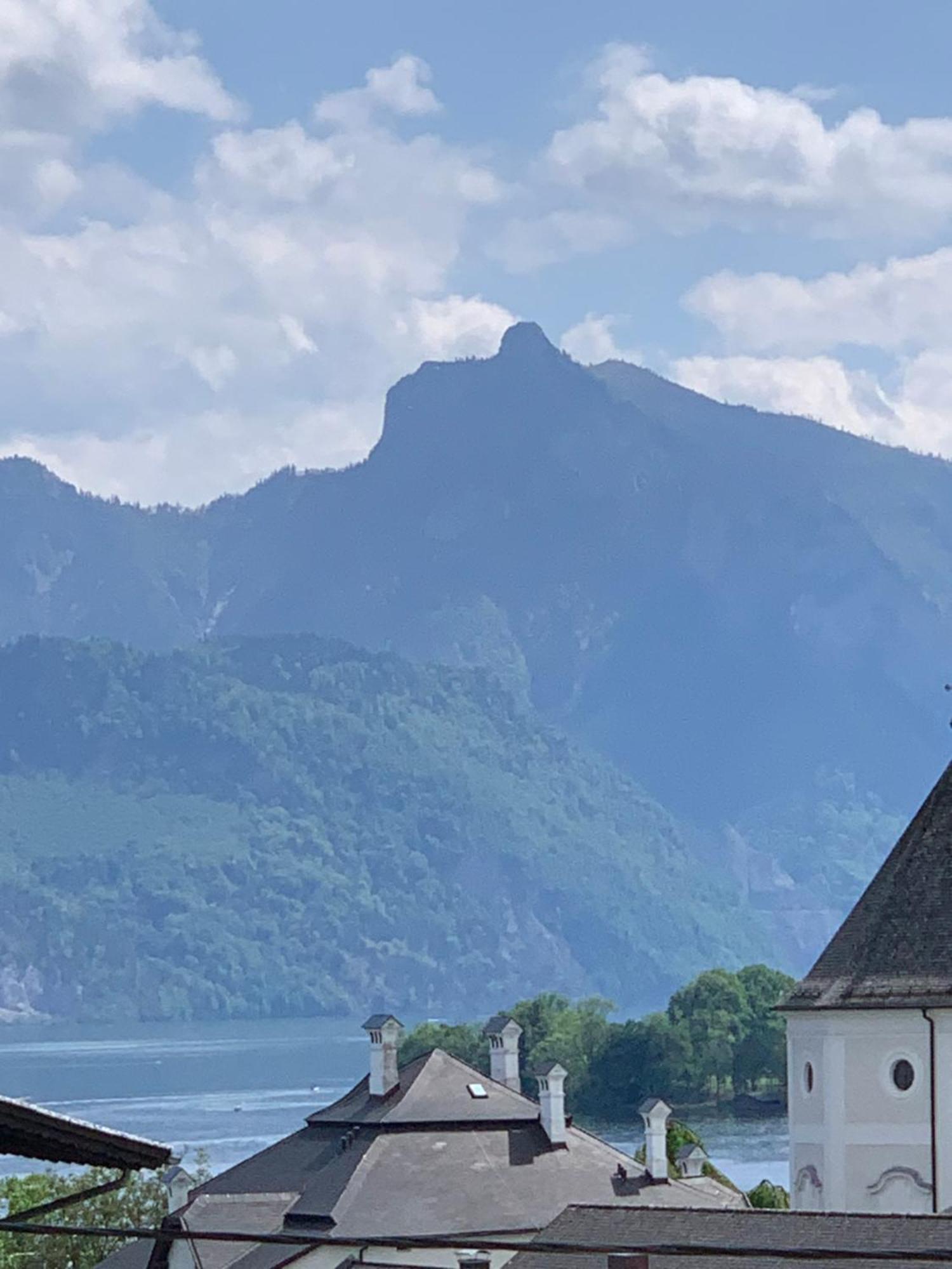 Traum Panorama Mit Berg&seeblick Apartment Altmünster